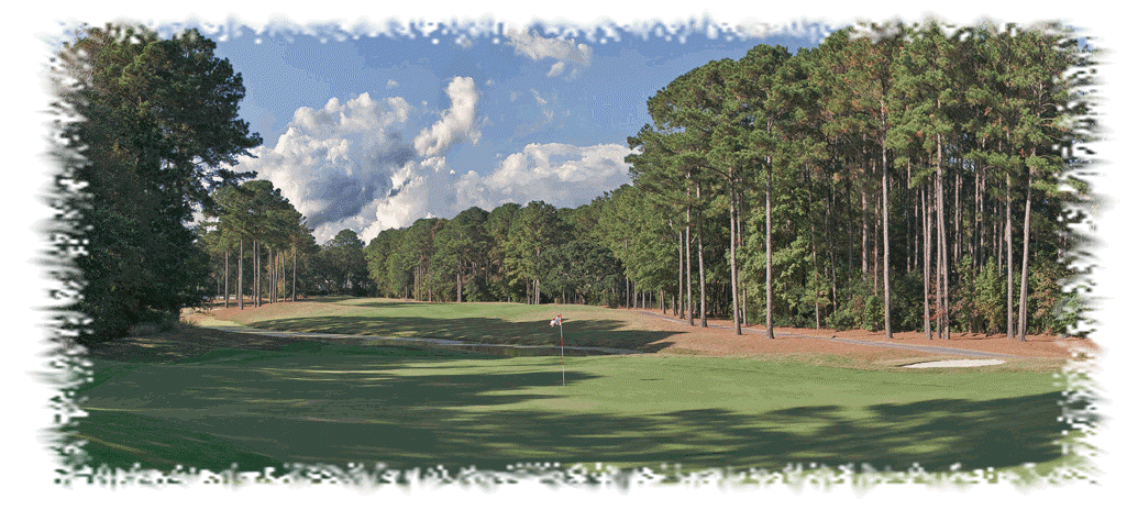 Image: Fairway lined with pine trees